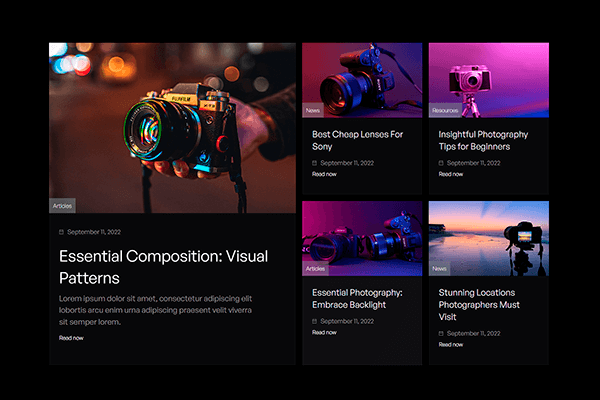 Screenshot - Portrait Webflow Template