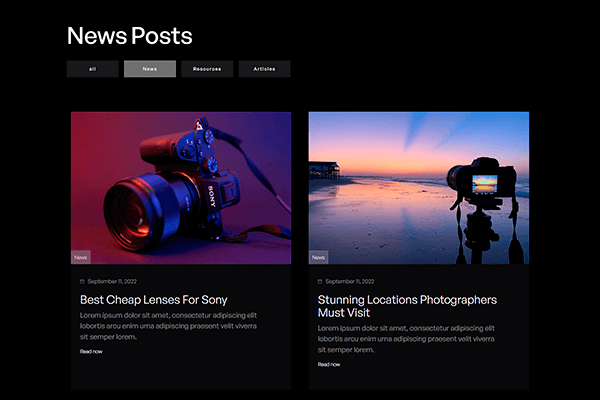 Screenshot - Portrait Webflow Template