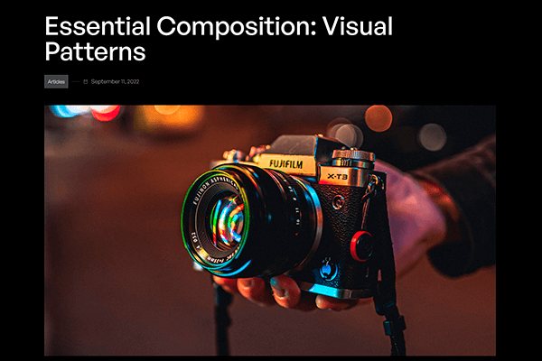 Screenshot - Portrait Webflow Template