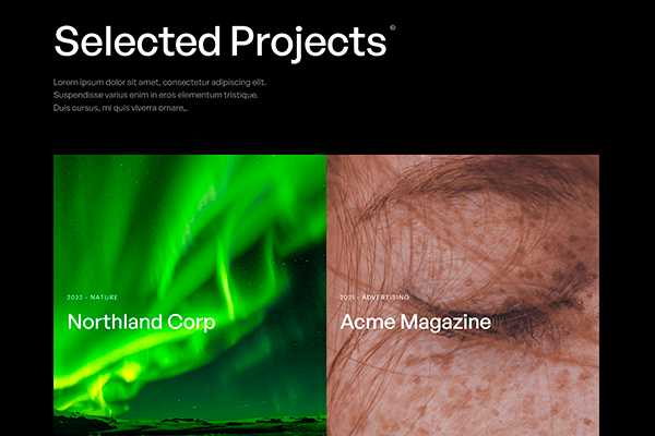 Screenshot - Portrait Webflow Template