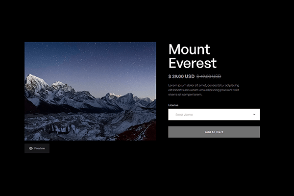 Screenshot - Portrait Webflow Template