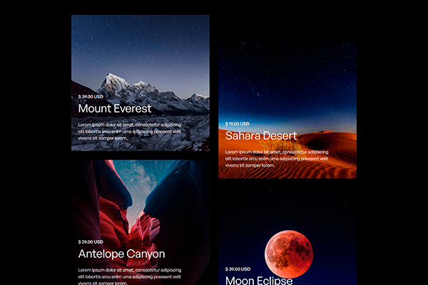 Screenshot - Portrait Webflow Template